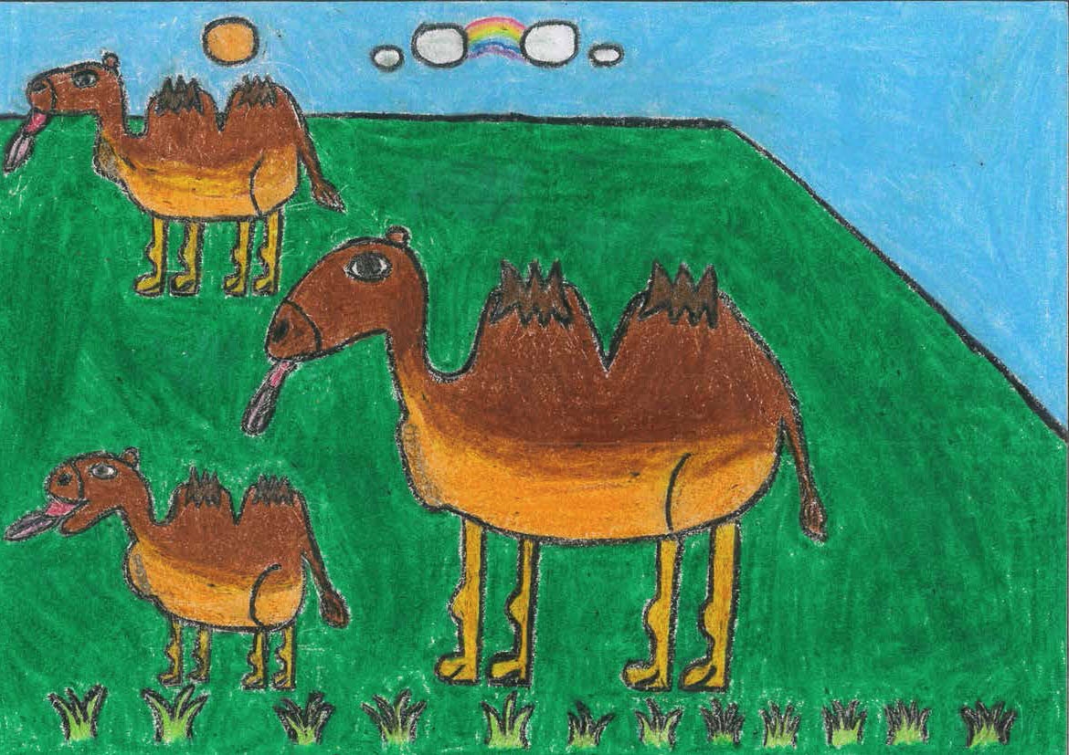 在一片綠色的草地上有三隻深色駱駝，藍天白雲，他們在草地上吃著草。