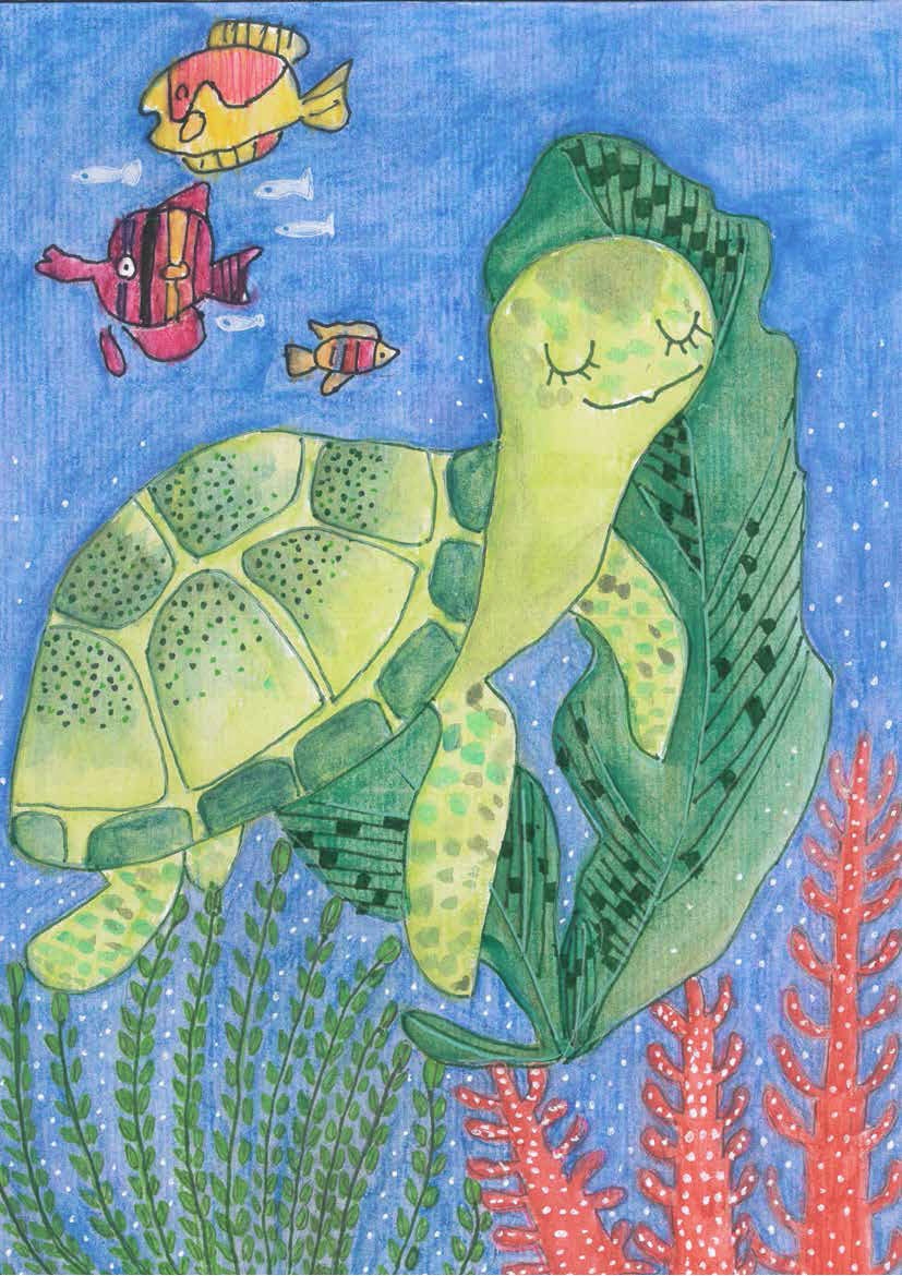 小綠，是隻個性膽小、害羞的烏龜，常常受到同伴的不友善，心裡一直希望自己可以再勇敢一點。