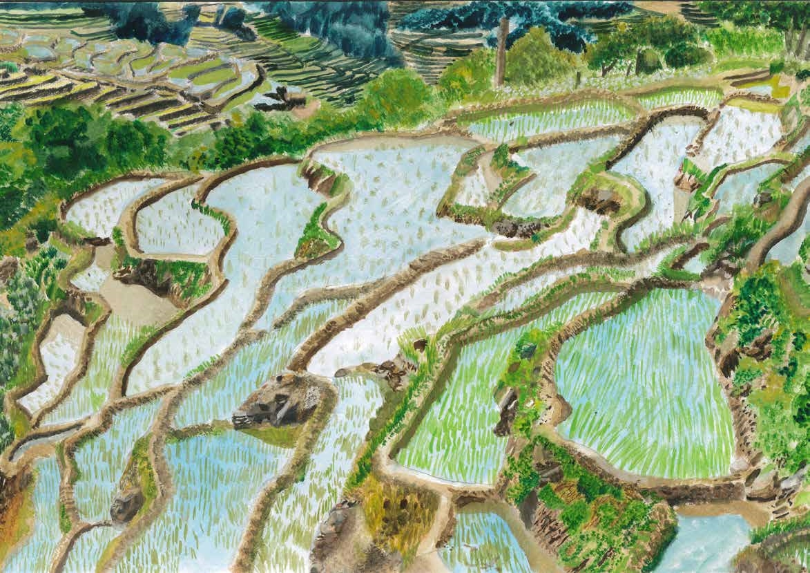 美麗蜿蜒的梯田景觀，中國大陸的田梯，感覺非常的奧妙而且各式各樣的田梯都不一樣，而且我感覺到非常的廣大，農夫們都很辛苦的耕種稻田，而我發現田梯它的形狀有的像樓梯還有的像螺旋狀一樣，觀察各國各地的田梯，都不一樣，還有和他們種植出來的顏色有的種植花朵、茶葉顏色非常的繽紛。讓我分享給大家看這幅田梯的美景，希望讓大家喜歡。