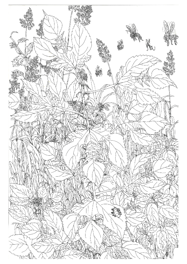 06.大專社會組-佳作-陳駿翰〈植物學家的小日記〉_10