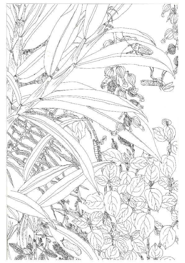 06.大專社會組-佳作-陳駿翰〈植物學家的小日記〉_11