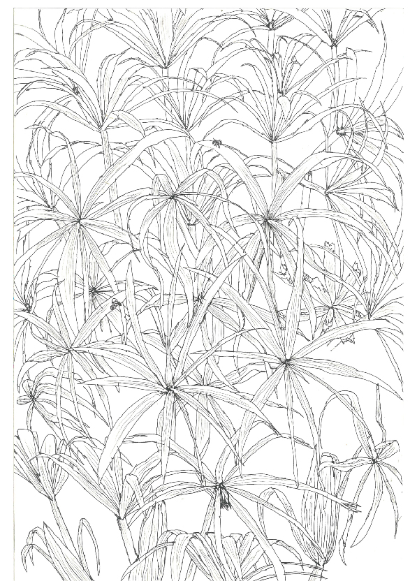 06.大專社會組-佳作-陳駿翰〈植物學家的小日記〉_5