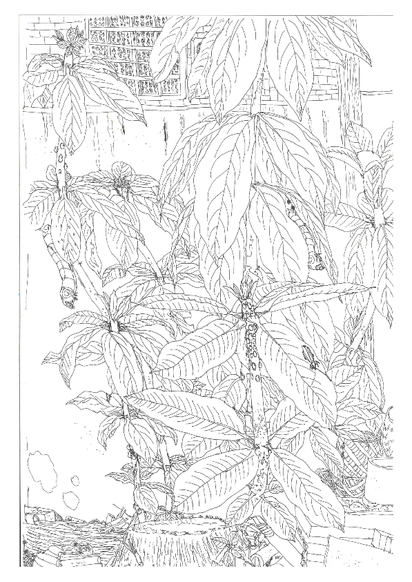 06.大專社會組-佳作-陳駿翰〈植物學家的小日記〉_7