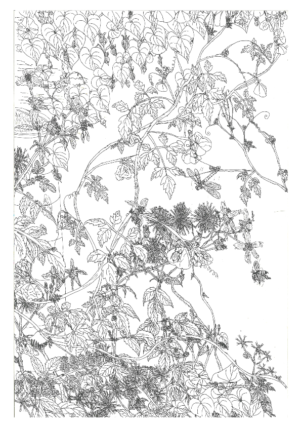 06.大專社會組-佳作-陳駿翰〈植物學家的小日記〉_8