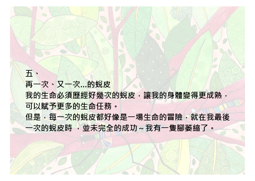 07.大專社會組-佳作-蘇亦禾〈生命之力〉_11