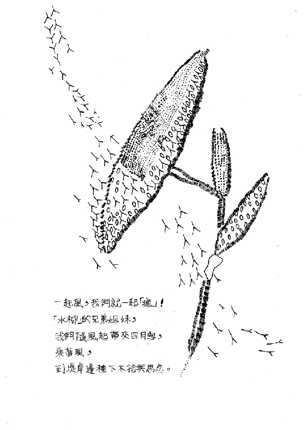 12.大專社會組-佳作-蕭子逸〈一起風〉_7