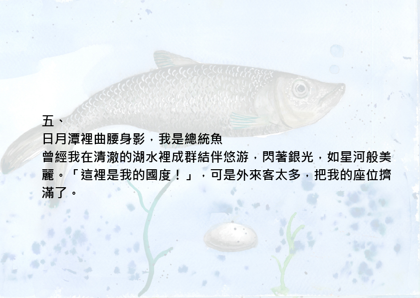 14.大專社會組-佳作-蔡昱安〈我愛台灣原生魚〉_11