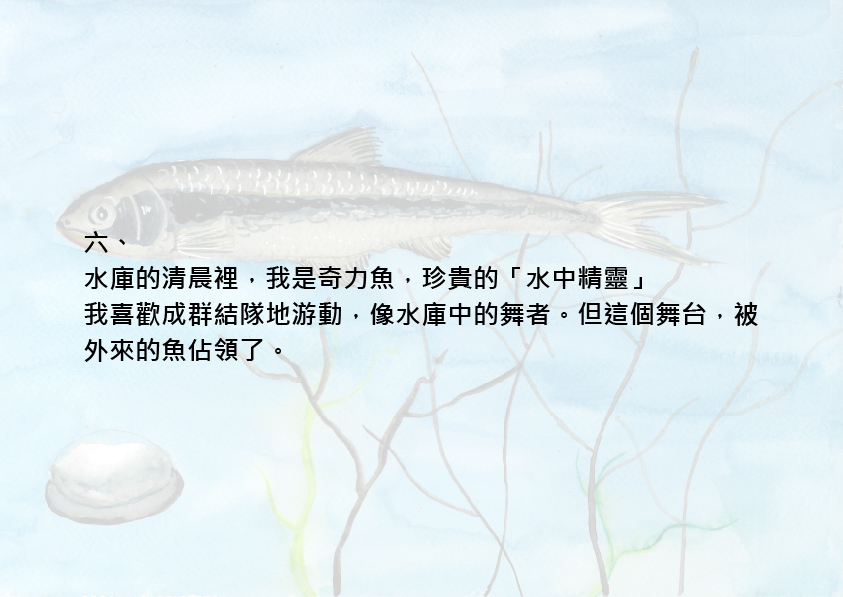 14.大專社會組-佳作-蔡昱安〈我愛台灣原生魚〉_13