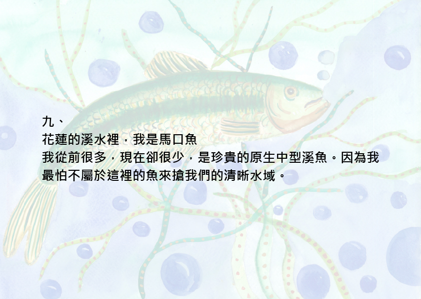 14.大專社會組-佳作-蔡昱安〈我愛台灣原生魚〉_19