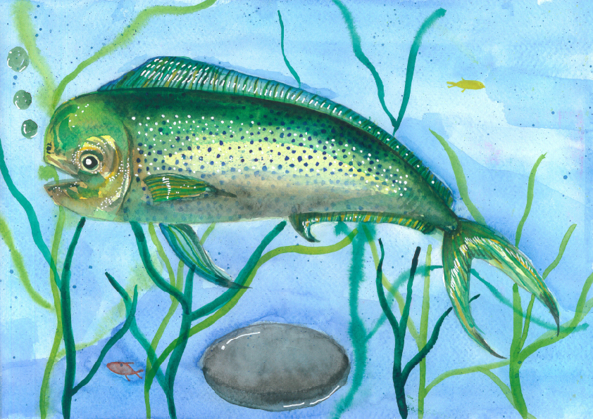 14.大專社會組-佳作-蔡昱安〈我愛台灣原生魚〉_22