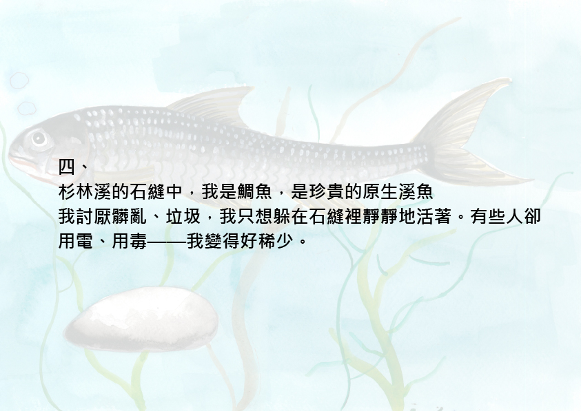 14.大專社會組-佳作-蔡昱安〈我愛台灣原生魚〉_9
