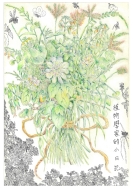 大專社會組-佳作-陳駿翰〈植物學家的小日記〉